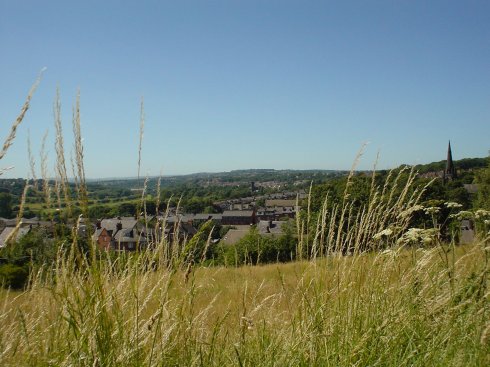 Kirkstall Valley